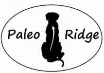 Paleo Ridge