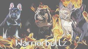 warriorbullz