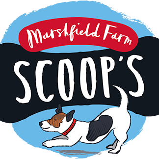 scoops-logo-324x324